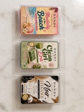 Dandy Wax Melt Trio Set | Clean, Cozy & Beachy Scents